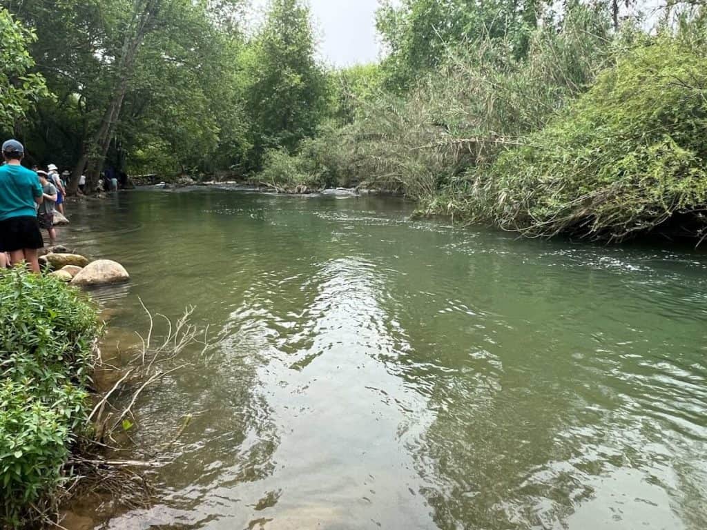 הנחלים המרעננים המומלצים לקיץ