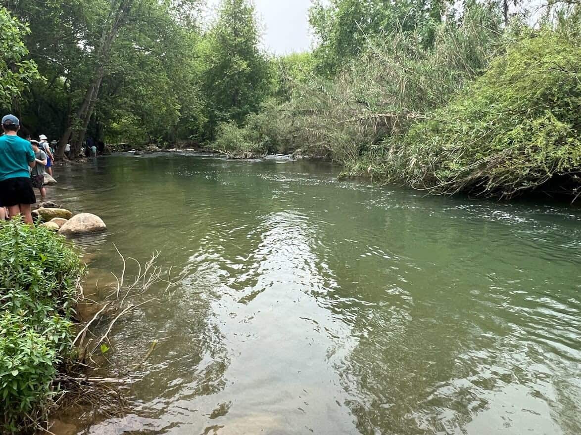 הנחלים המרעננים המומלצים לקיץ