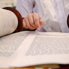 עצי חיים לספר תורה – השילוב המושלם בין מסורת, אומנות והידור
